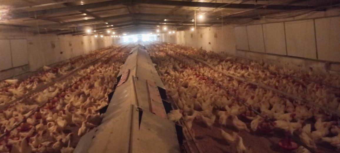 photo 2025 11 19 22 14 11