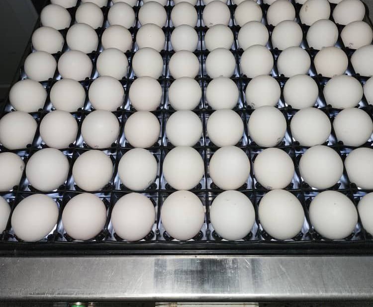 photo 2025 11 21 21 05 07