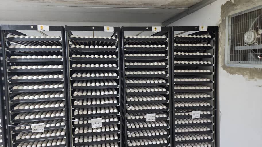 photo 2025 11 21 21 05 13