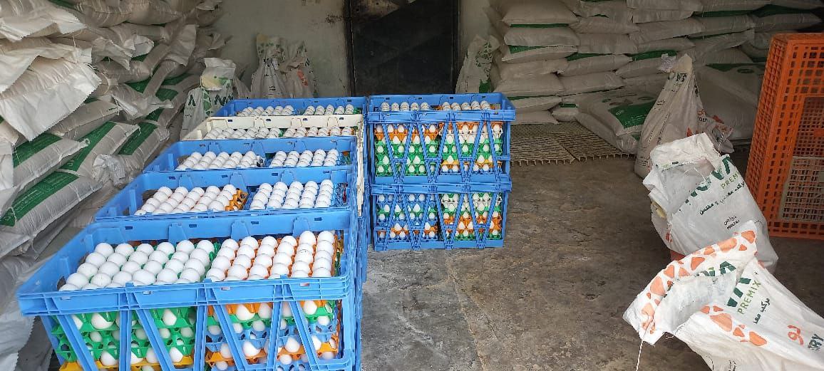 photo 2025 11 21 21 05 23