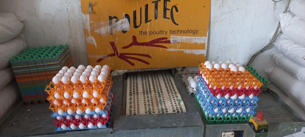 photo 2025 11 21 21 05 27